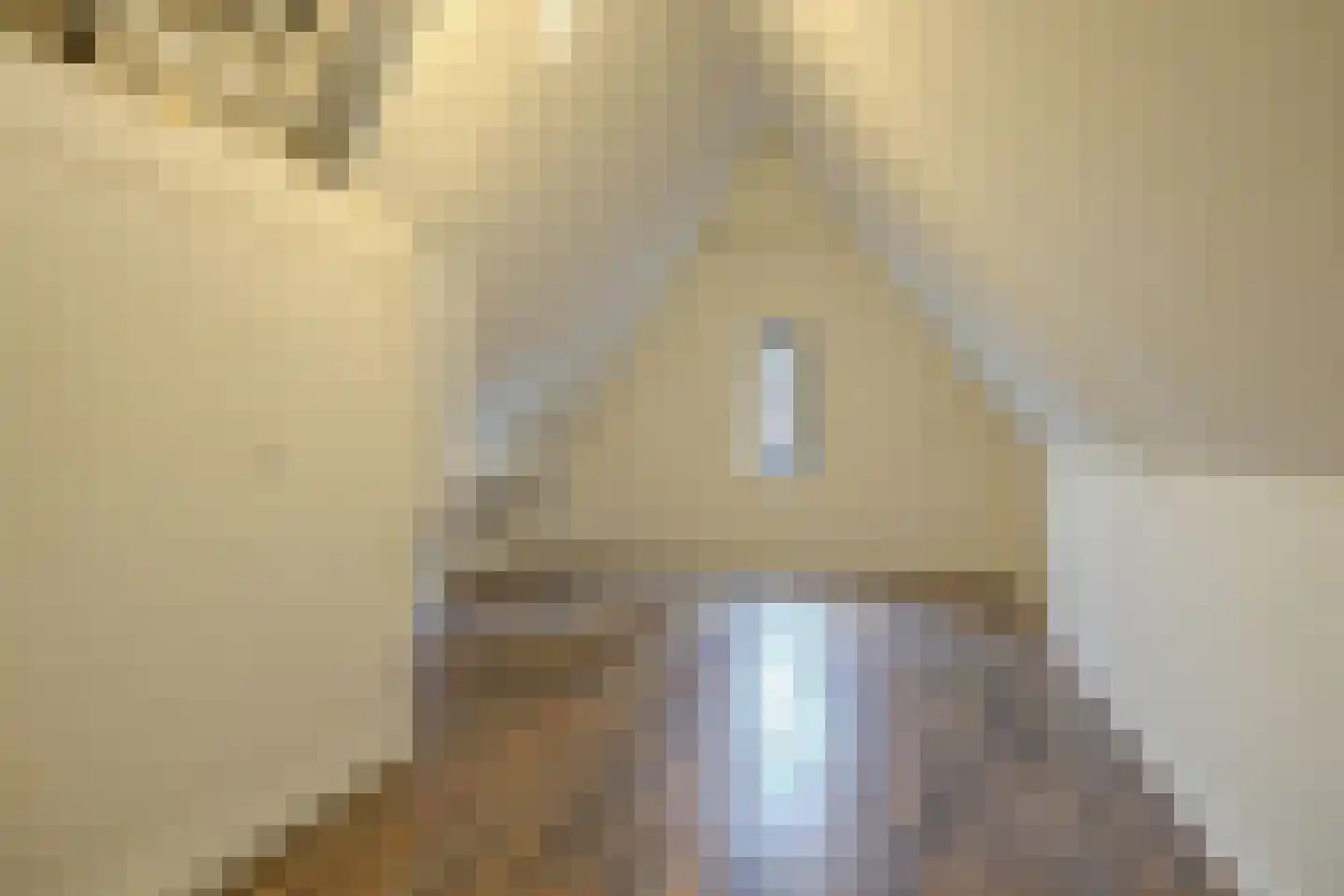 Turfhoofd 6 Oudenbosch thumbnail 32