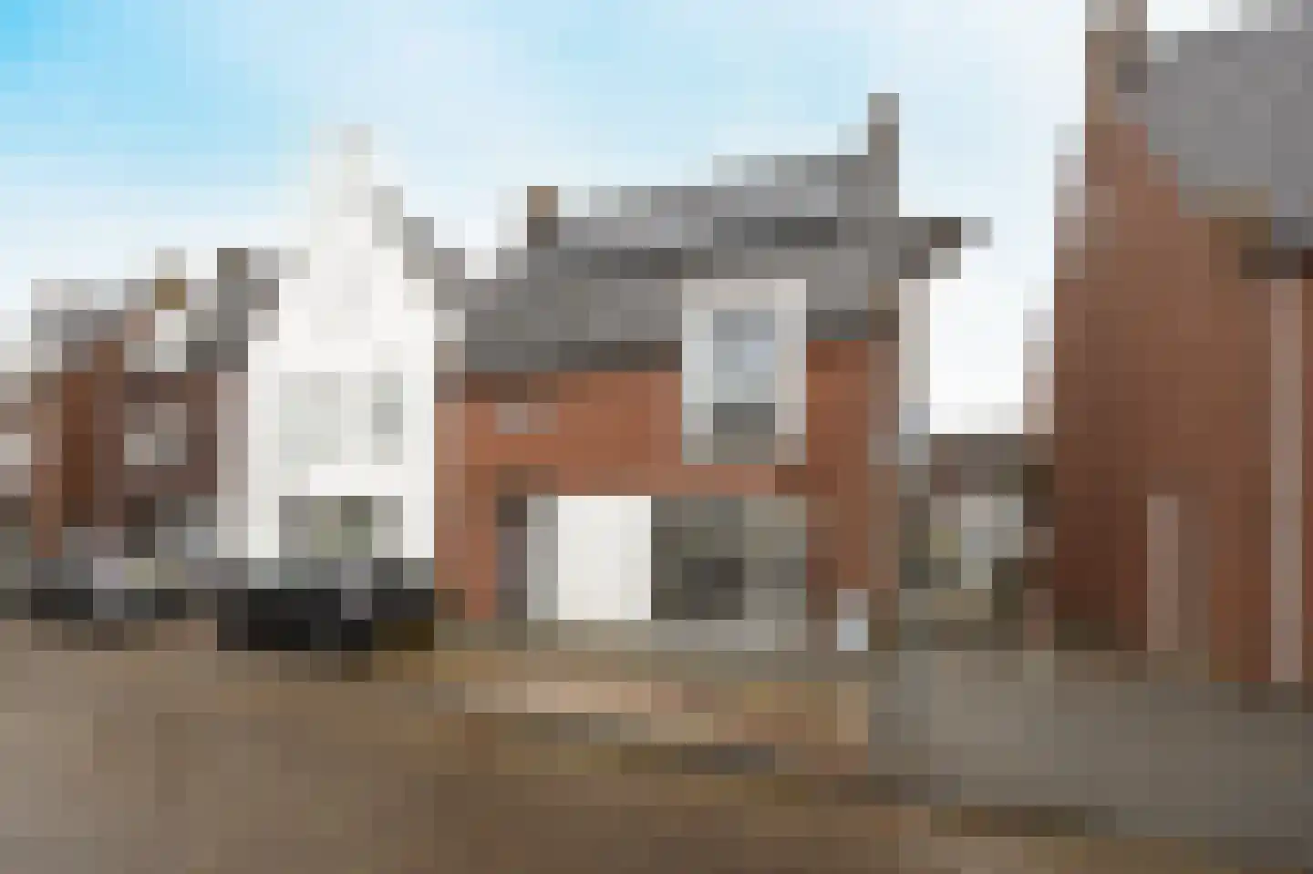 Turfhoofd 6 Oudenbosch thumbnail 9