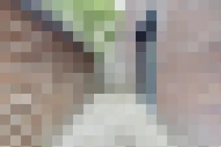 Turfijker 1 Etten-Leur thumbnail 21