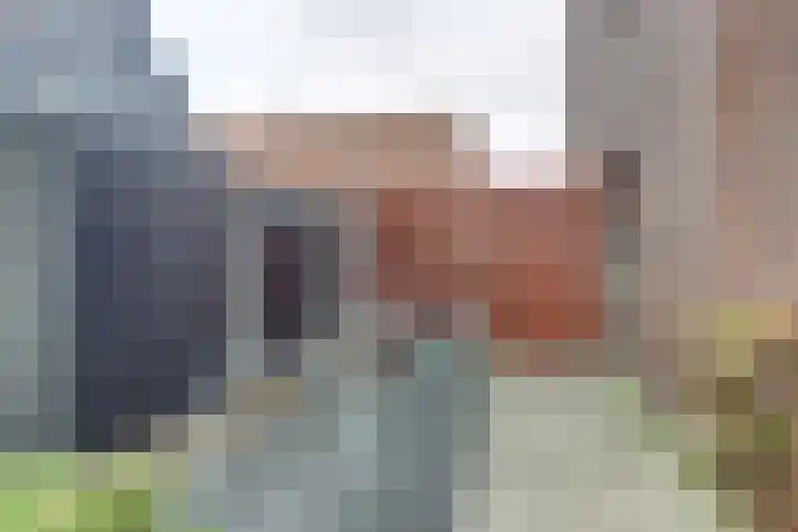 Turfijker 1 Etten-Leur thumbnail 22