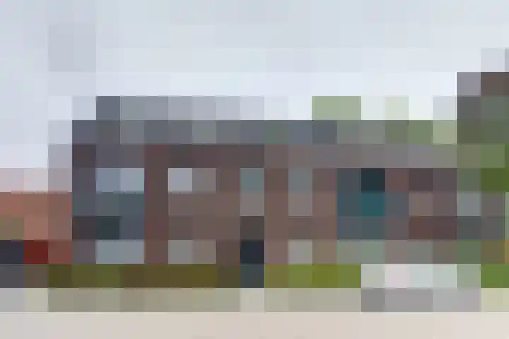 Turfijker 1 Etten-Leur thumbnail 24