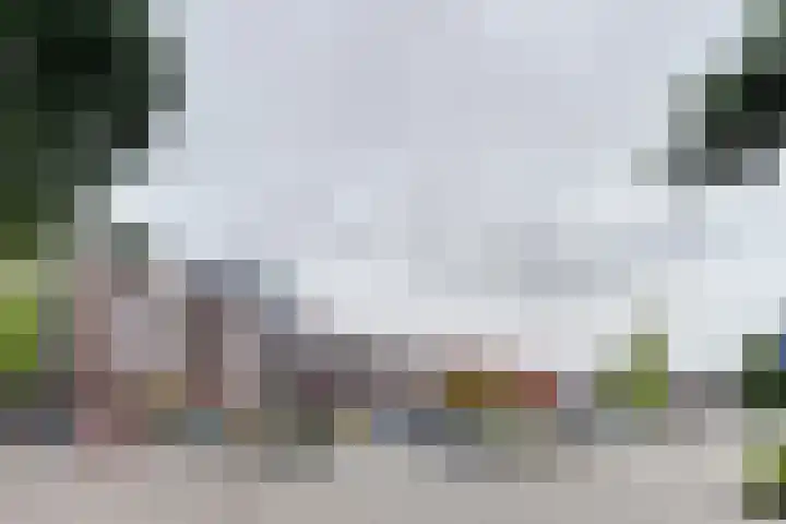Turfijker 1 Etten-Leur thumbnail 25