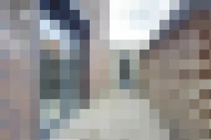 Turfijker 1 Etten-Leur thumbnail 4