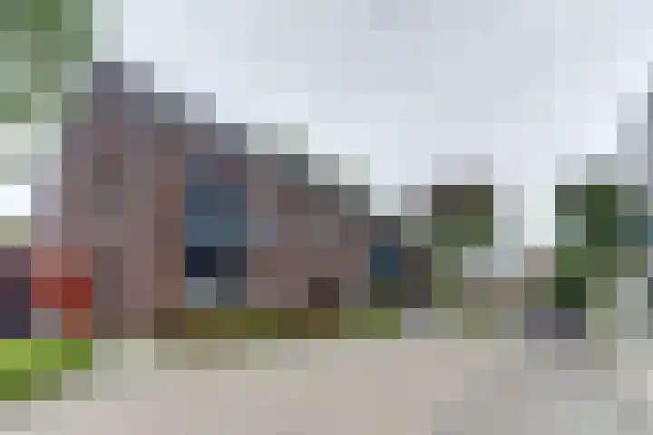 Turfijker 1 Etten-Leur thumbnail 5