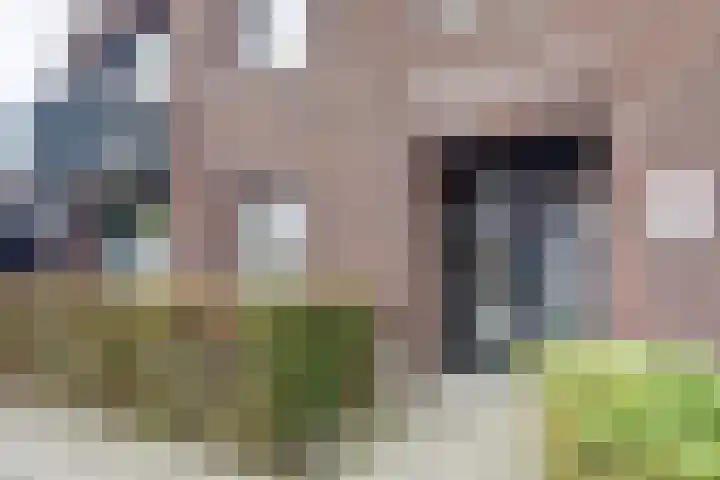 Turfijker 1 Etten-Leur thumbnail 6