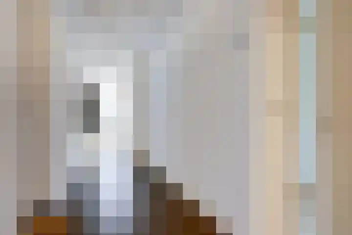Turfijker 1 Etten-Leur thumbnail 7