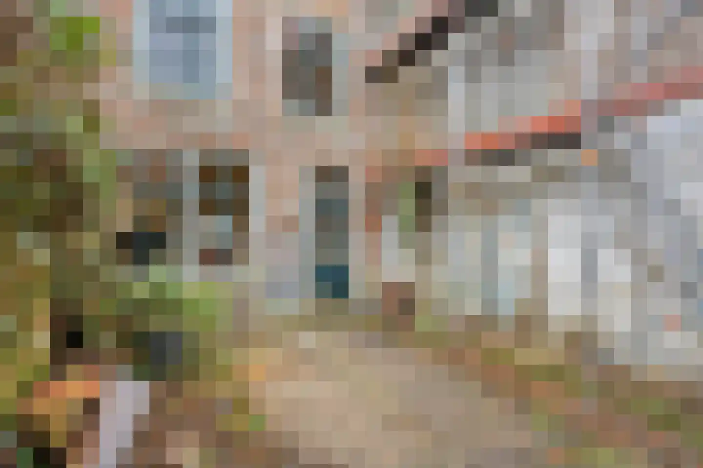 Turfkaai 23 Middelburg thumbnail 30