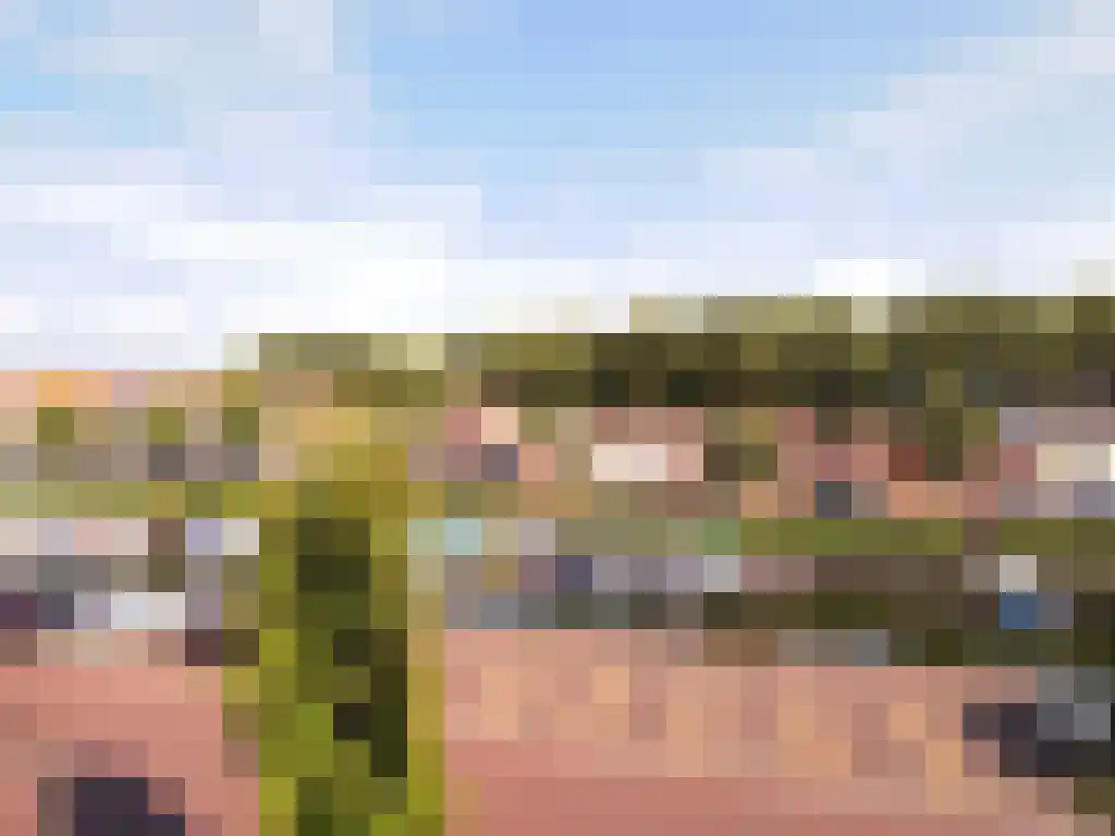Turfkade 20 Brielle thumbnail 6
