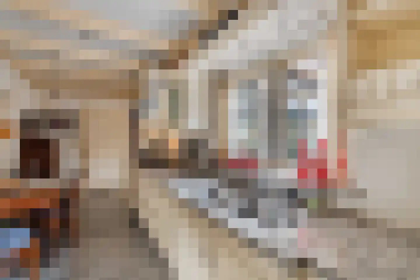 Turfkade 3 Franeker thumbnail 28