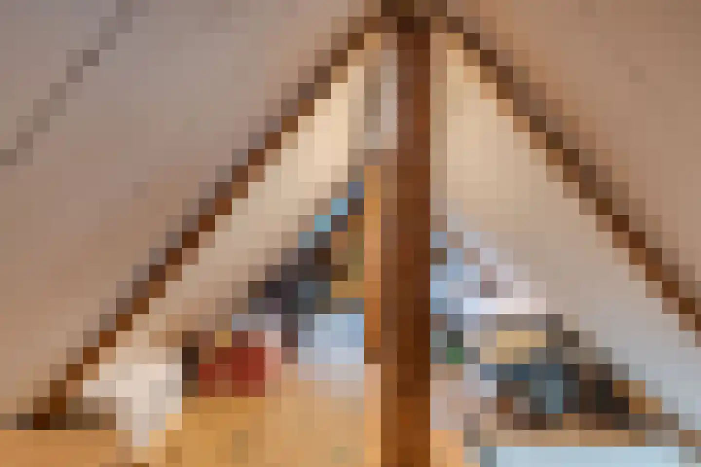 Turfkade 3 Franeker thumbnail 51