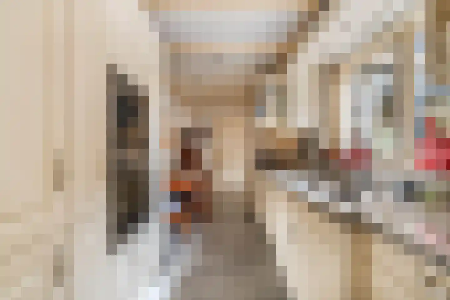 Turfkade 3 Franeker thumbnail 6