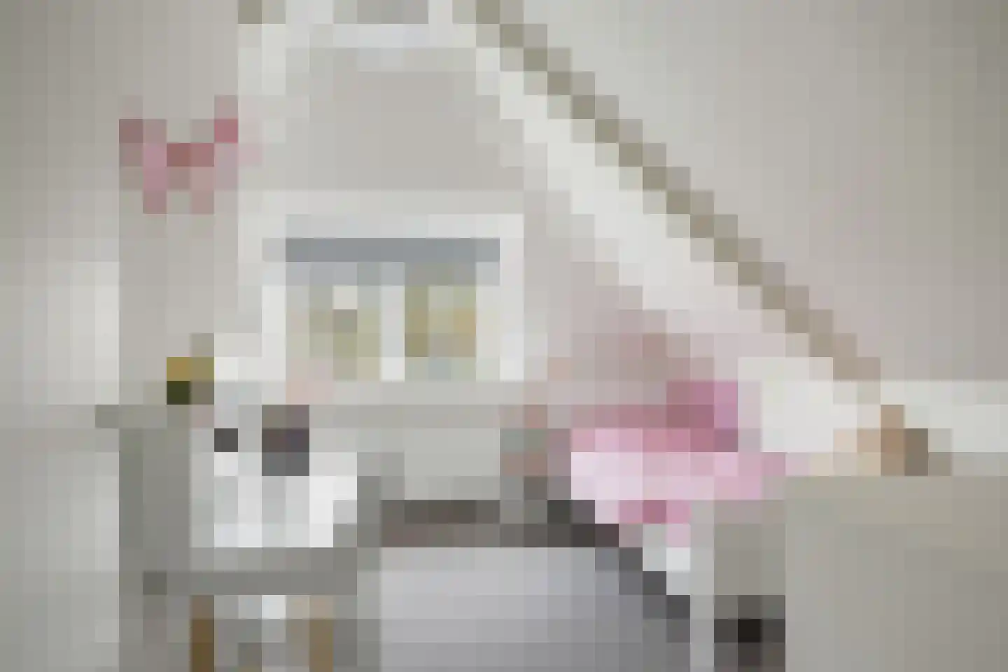 Turfkade 30 Bolsward thumbnail 25