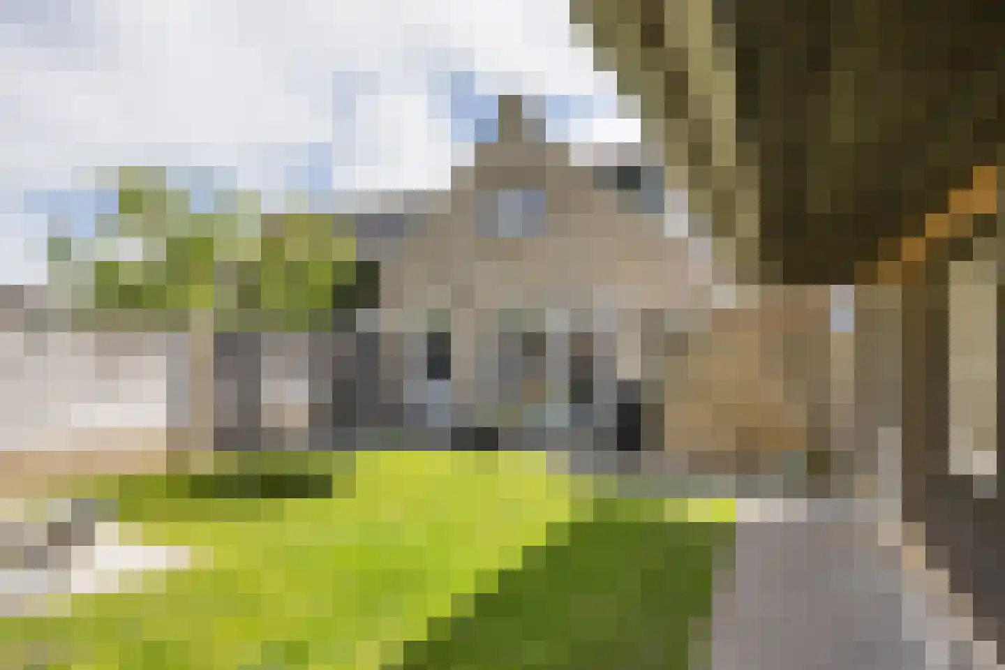 Turfkade 30 Bolsward thumbnail 4