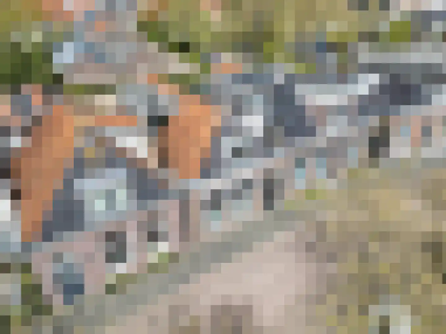 Turfkade 30 Bolsward thumbnail 48