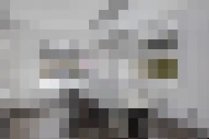 Turfkoer 24 Oudehaske thumbnail 14