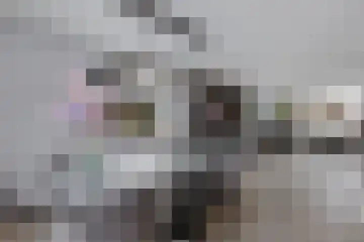 Turfkoer 24 Oudehaske thumbnail 15