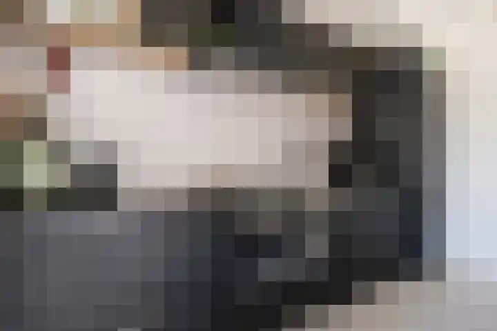 Turfkoer 24 Oudehaske thumbnail 16