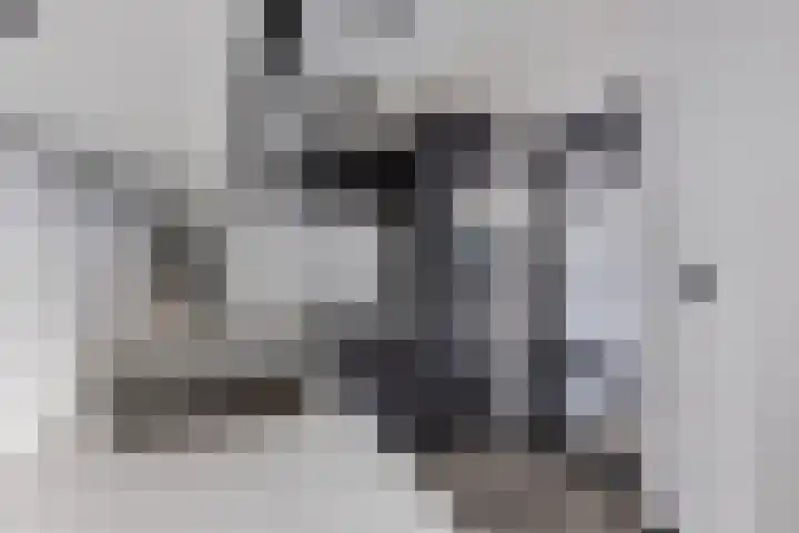 Turfkoer 24 Oudehaske thumbnail 16