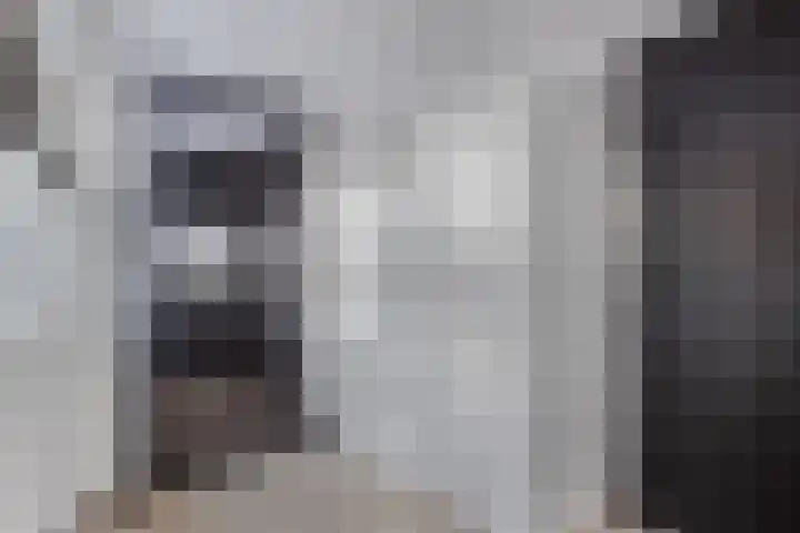 Turfkoer 24 Oudehaske thumbnail 17