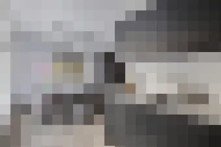 Turfkoer 24 Oudehaske thumbnail 18