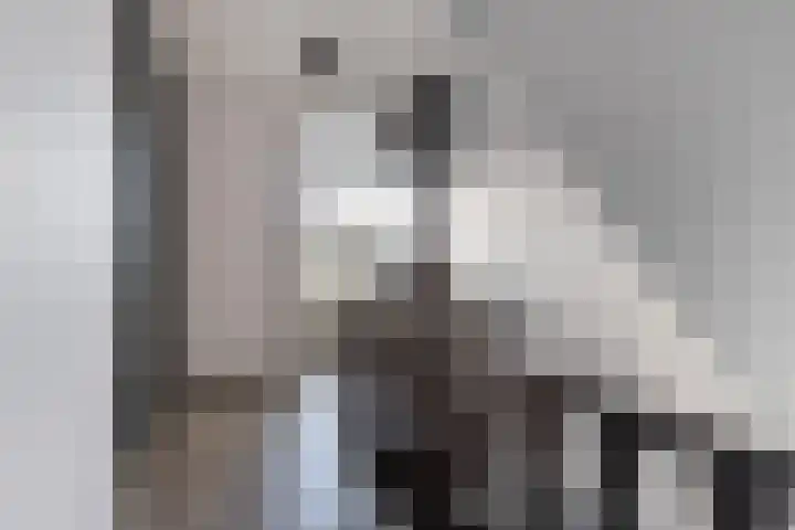 Turfkoer 24 Oudehaske thumbnail 20
