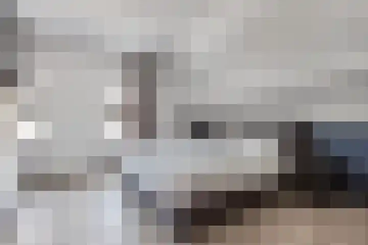 Turfkoer 24 Oudehaske thumbnail 21