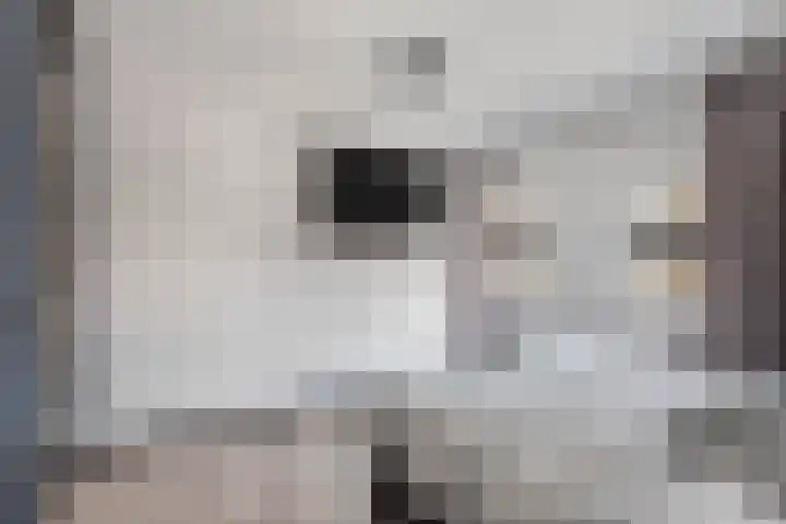 Turfkoer 24 Oudehaske thumbnail 22