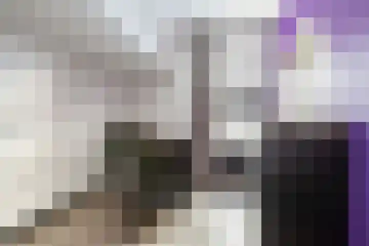Turfkoer 24 Oudehaske thumbnail 23
