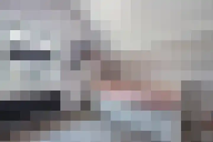 Turfkoer 24 Oudehaske thumbnail 24