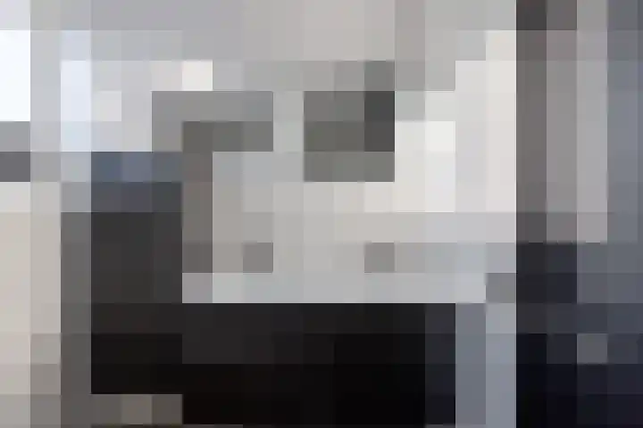 Turfkoer 24 Oudehaske thumbnail 28
