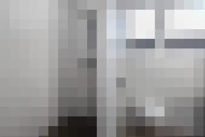 Turfkoer 24 Oudehaske thumbnail 29