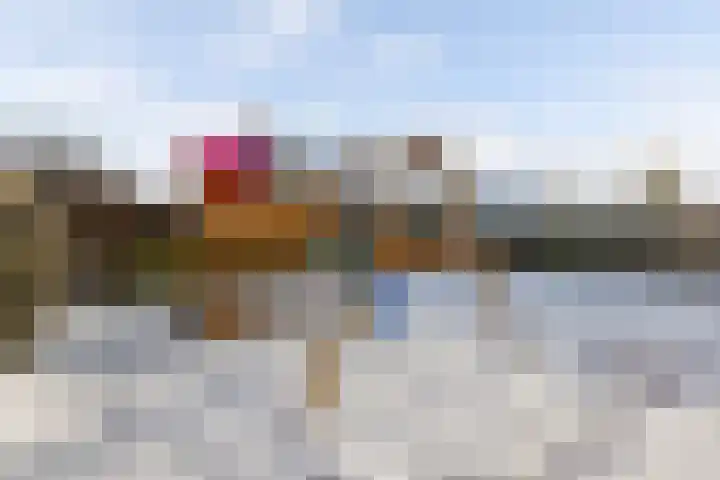 Turfkoer 24 Oudehaske thumbnail 33