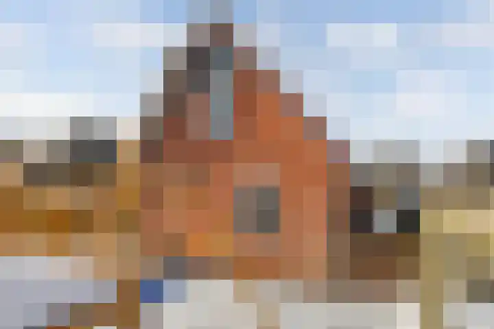 Turfkoer 24 Oudehaske thumbnail 34