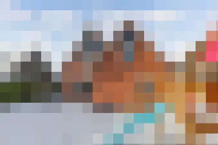 Turfkoer 24 Oudehaske thumbnail 35