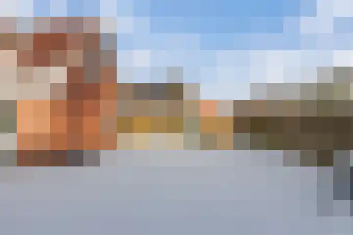 Turfkoer 24 Oudehaske thumbnail 37