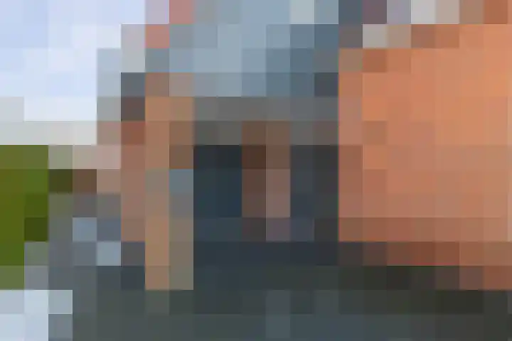 Turfkoer 24 Oudehaske thumbnail 44