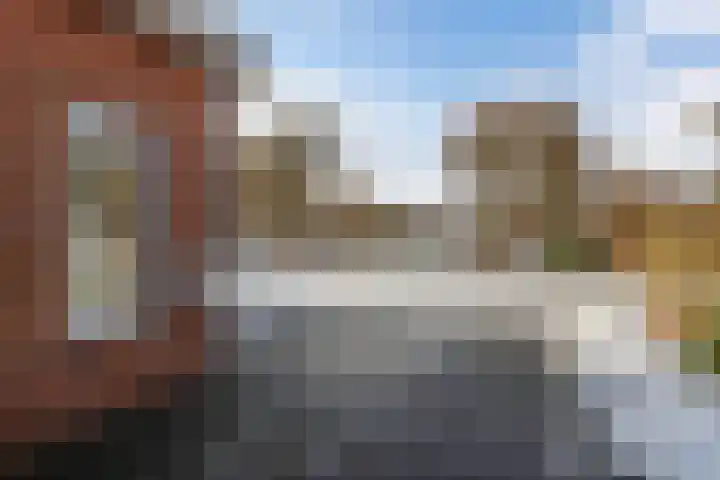 Turfkoer 24 Oudehaske thumbnail 45