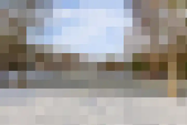 Turfkoer 24 Oudehaske thumbnail 46