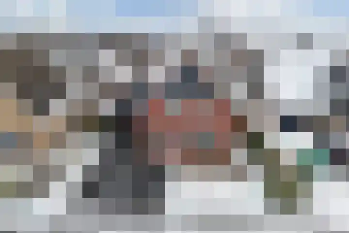 Turfkoer 24 Oudehaske thumbnail 48
