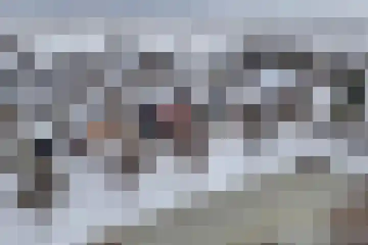 Turfkoer 24 Oudehaske thumbnail 49