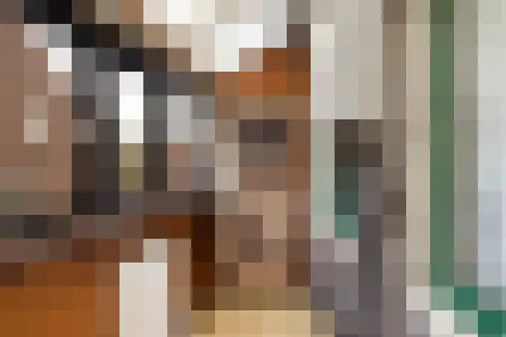 Turfkoer 24 Oudehaske thumbnail 50
