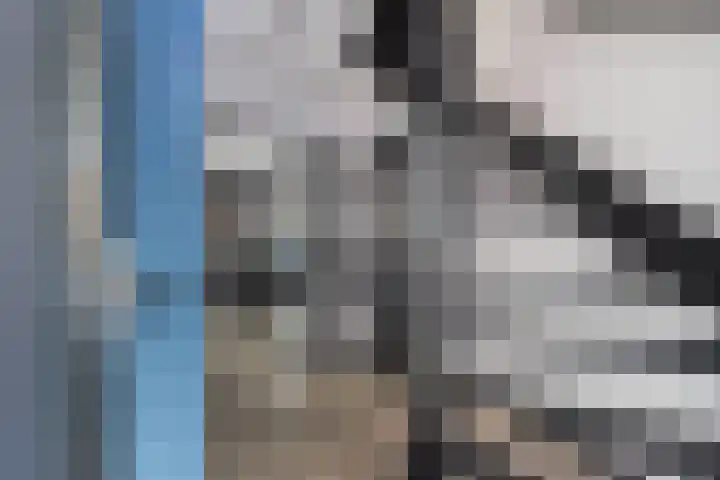 Turfkoer 24 Oudehaske thumbnail 7