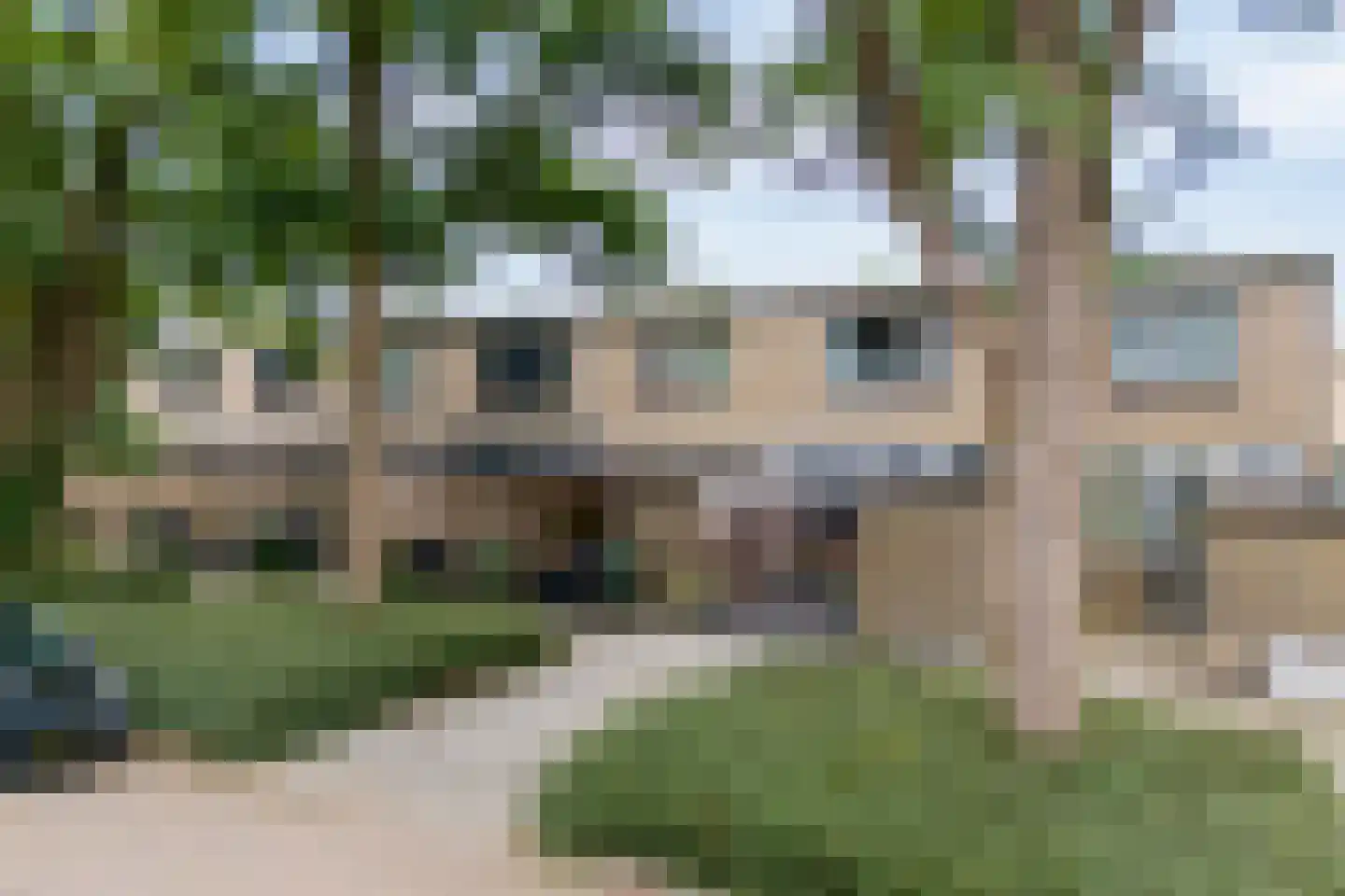 Turflaan 14 Slagharen thumbnail 5