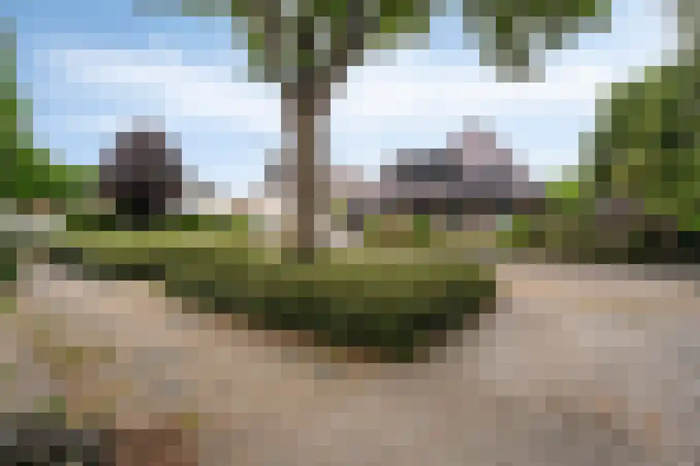 Turflaan 14 Slagharen thumbnail 7