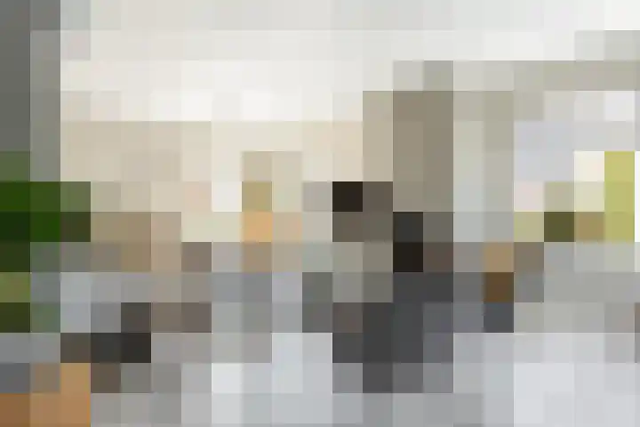 Turflaan 9 Zevenhuizen thumbnail 14