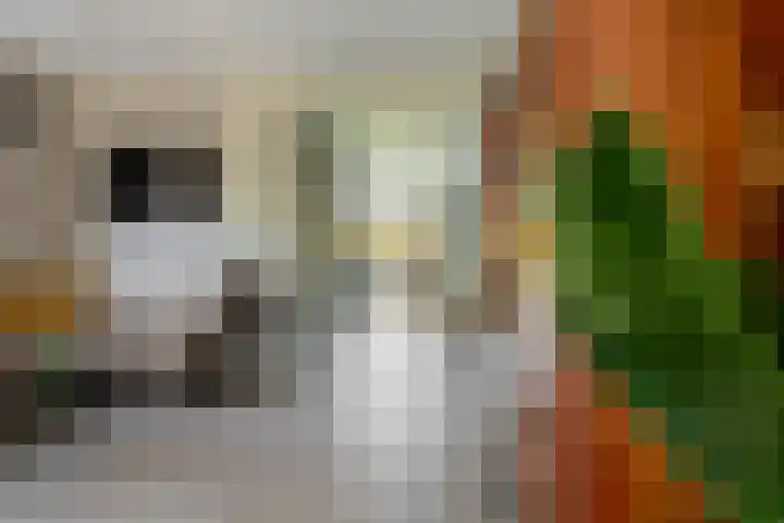 Turflaan 9 Zevenhuizen thumbnail 17