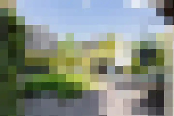 Turflaan 9 Zevenhuizen thumbnail 4
