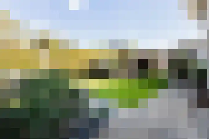 Turflaan 9 Zevenhuizen thumbnail 47