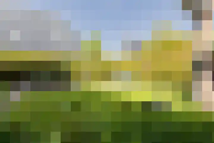 Turflaan 9 Zevenhuizen thumbnail 48