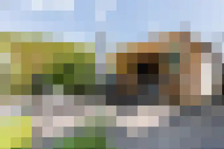 Turflaan 9 Zevenhuizen thumbnail 49